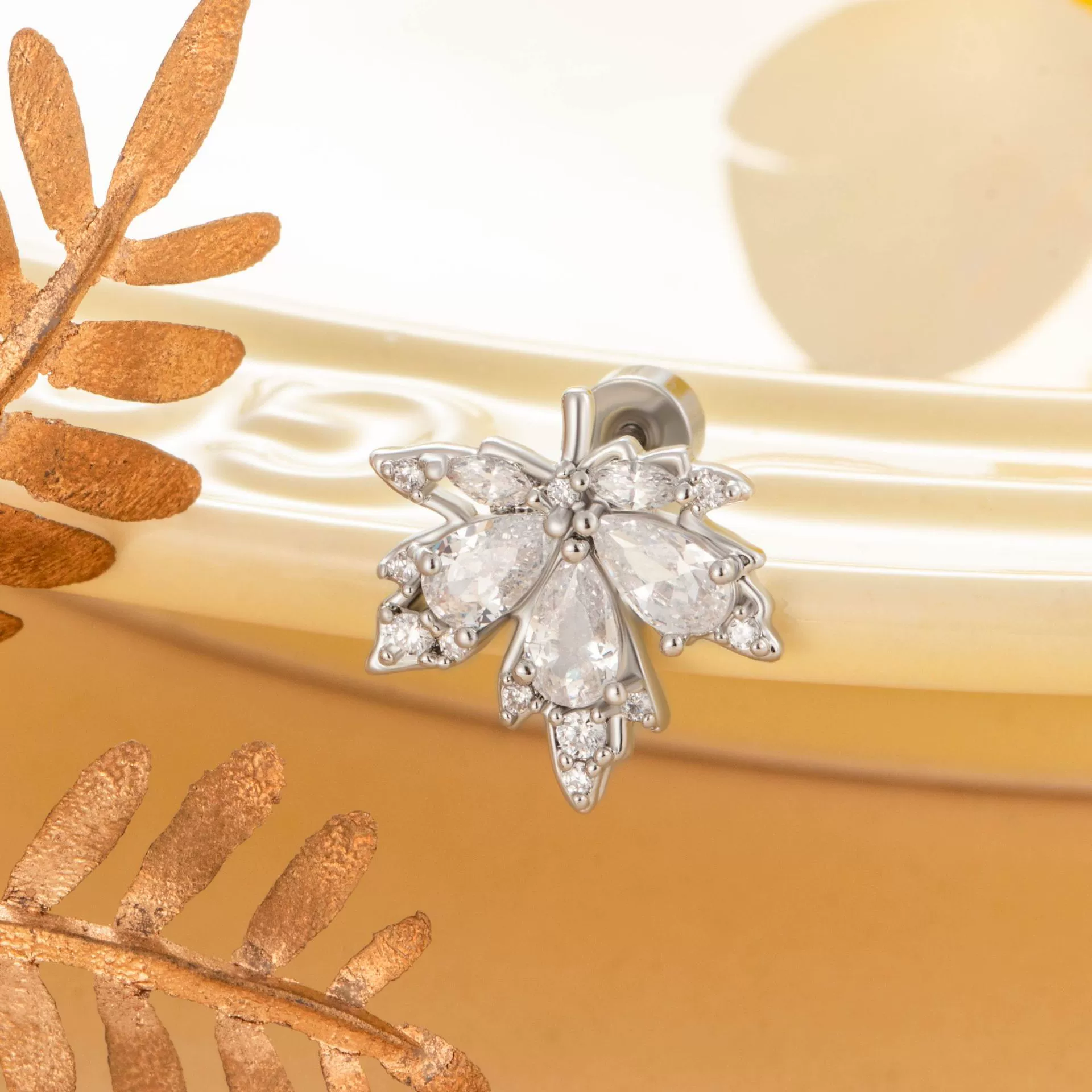 Copper Inlaid Zircon Leaf Geometric Style Titanium Steel Earrings For Boys - Image 4