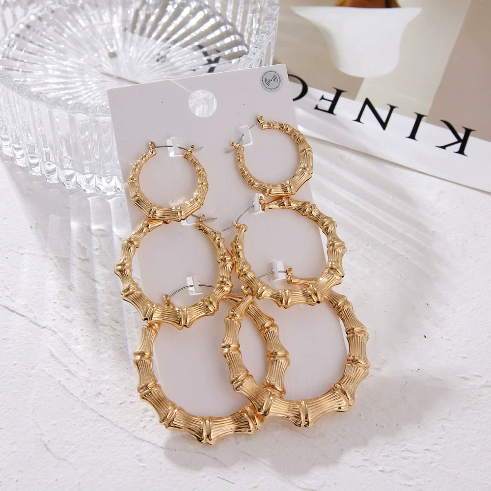 Fashion Iron Alloy Geometric Hoop Earrings Set For Women With Electroplating Treatment - Image 9