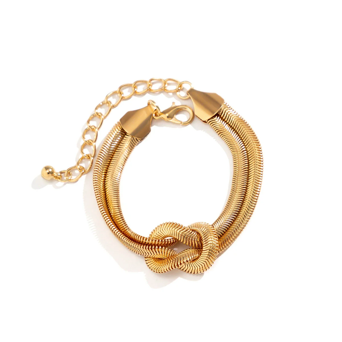 Jewelry Snake Bone Chain Bracelet Iron Chain Geometric Electroplating Style For Women - Image 5