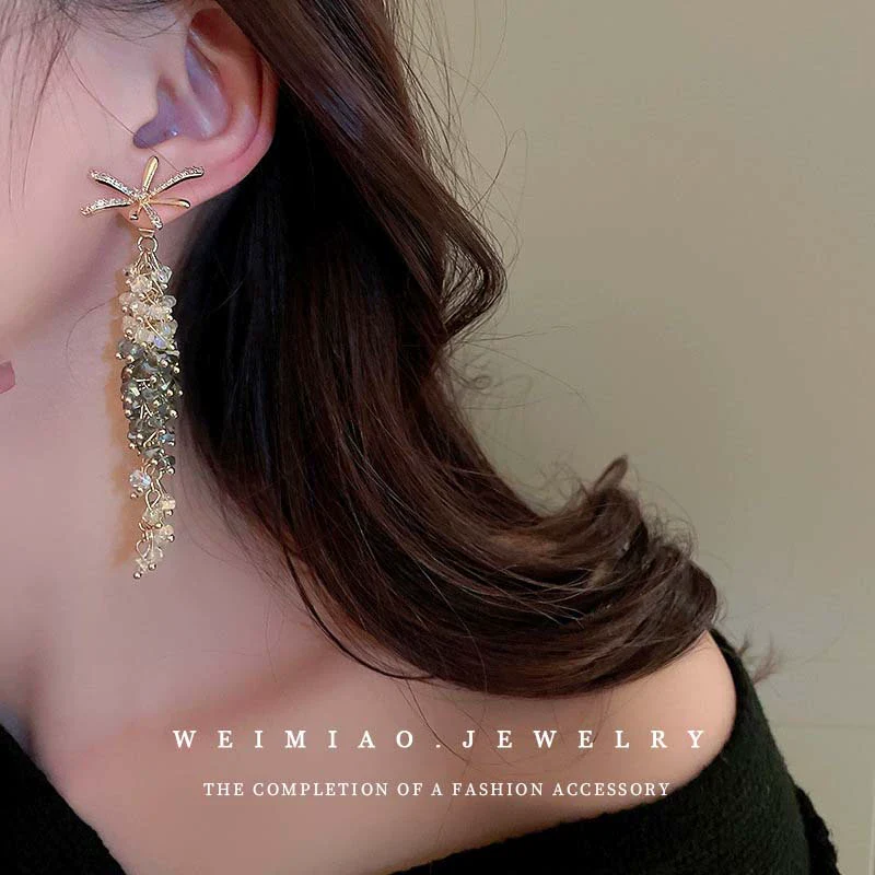 Silver Needle Zircon Flower Crystal Long Tassel Women's Earrings - Image 3