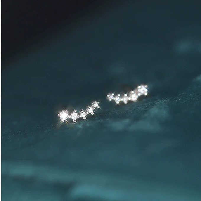 Silver Women's Constellation Pattern Diamond Earrings - Image 6
