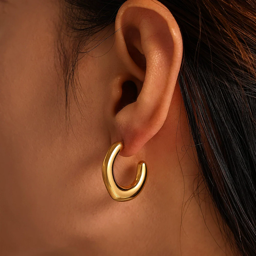 Simple Irregular C Shaped Light Luxury Geometric Stainless Steel Electroplated Casting Women's Earrings - Image 4