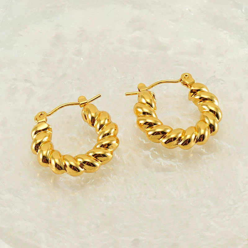 316L Stainless Steel Geometric Twisted Spiral Pattern Electroplated Women's Earrings - Image 4