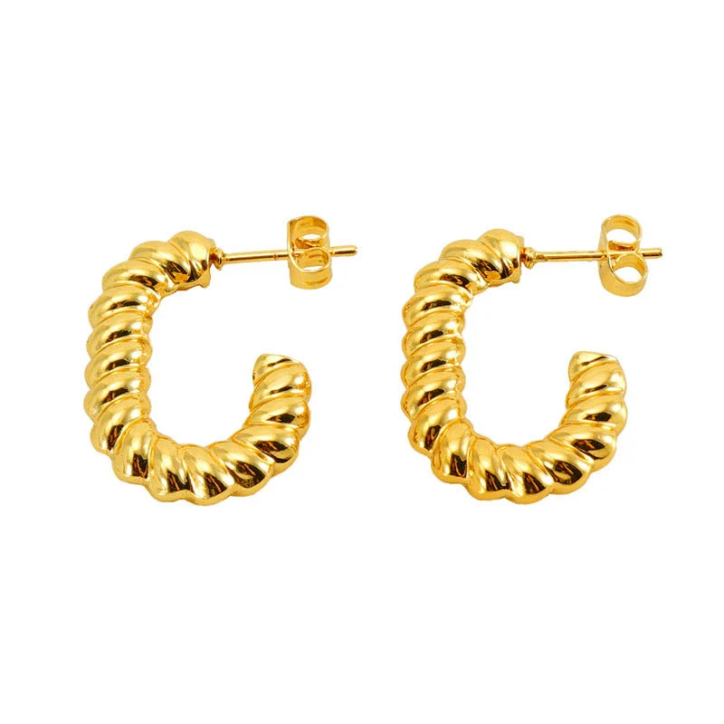 316L Stainless Steel Geometric Twisted Spiral Pattern Electroplated Women's Earrings - Image 5