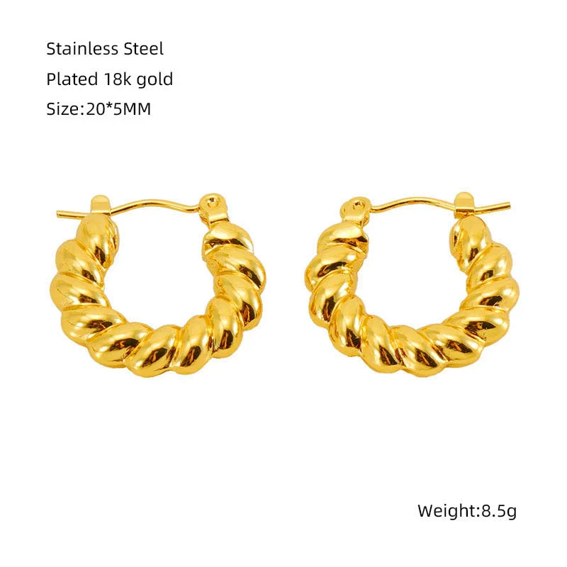 316L Stainless Steel Geometric Twisted Spiral Pattern Electroplated Women's Earrings - Image 8
