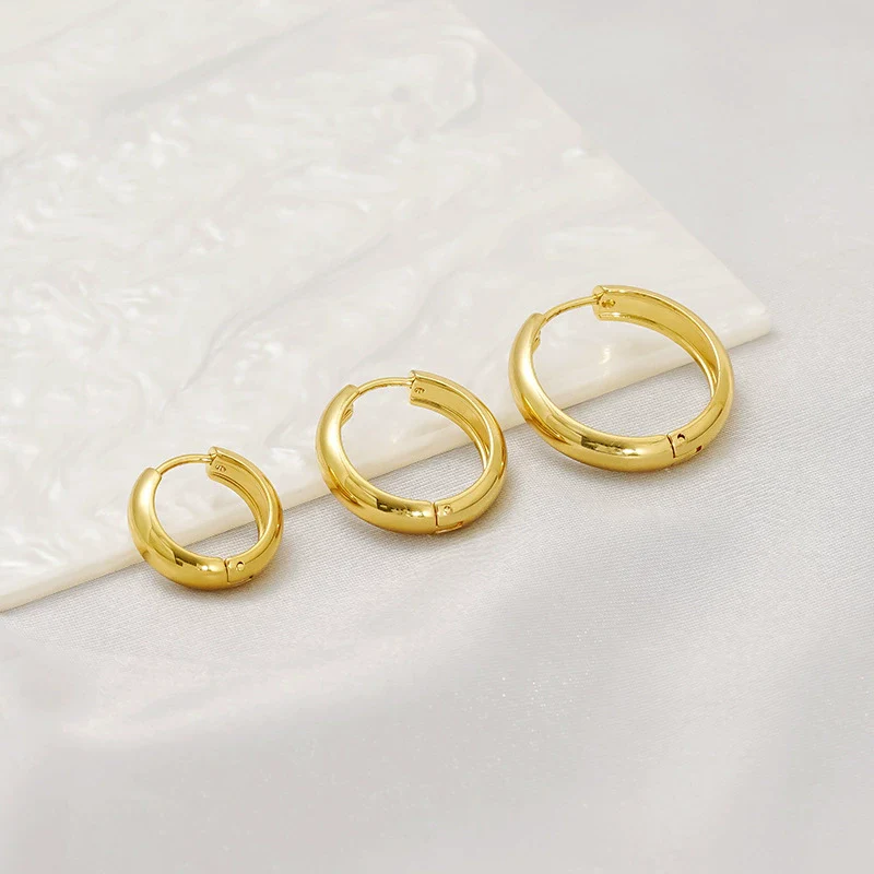 Wholesale Fashion Allmatch Geometric 316L Stainless Steel Electroplated Earrings For Women - Image 4
