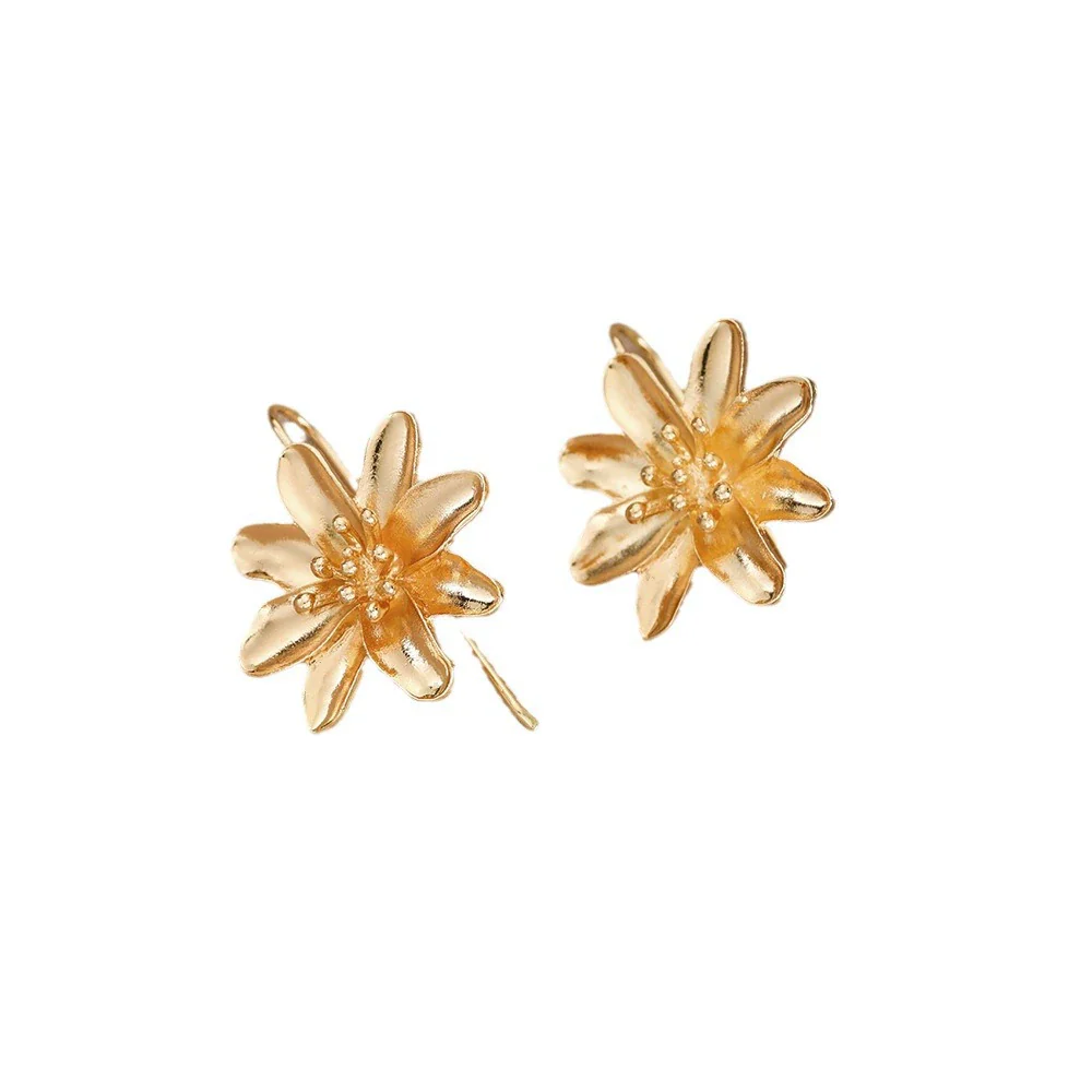 Wholesale Jewelry Geometric Irregular Alloy Earrings Retro Simple Style - Image 4