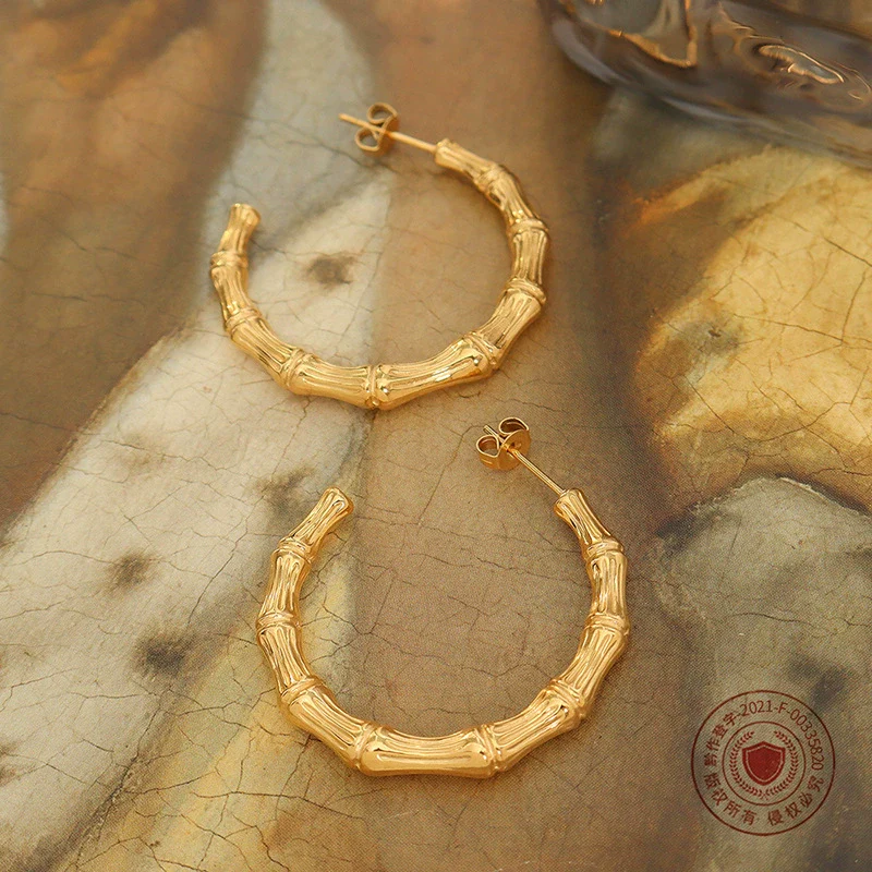 Wholesale Jewelry Simple Style Ctype Titanium Steel Earrings - Image 2