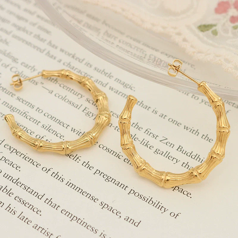 Wholesale Jewelry Simple Style Ctype Titanium Steel Earrings - Image 3