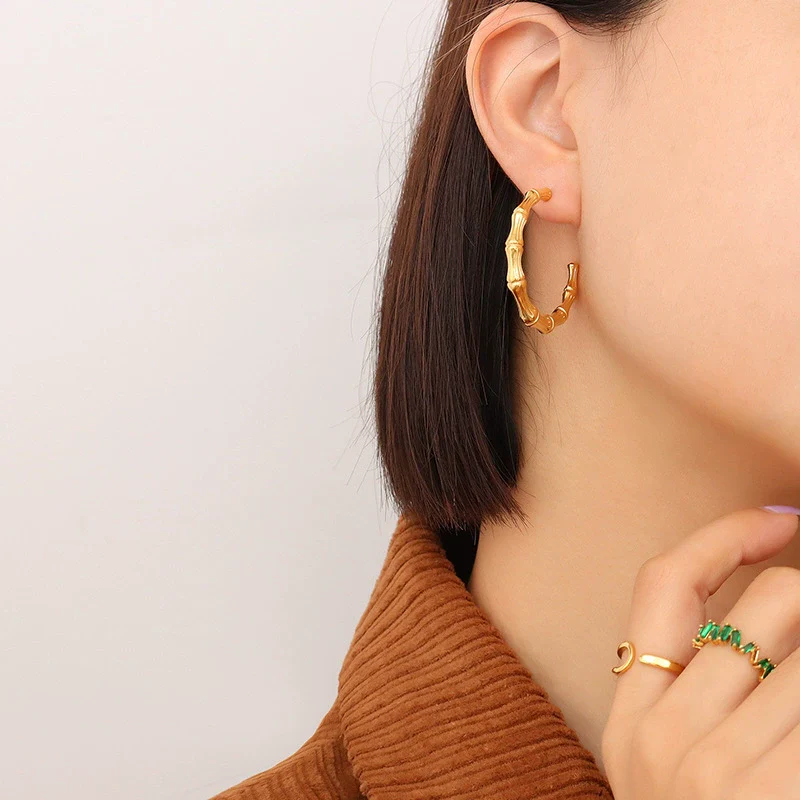 Wholesale Jewelry Simple Style Ctype Titanium Steel Earrings - Image 6