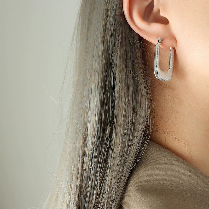 Wholesale Titanium Steel Geometric Rectangular Electroplated Women's Earrings - Image 5