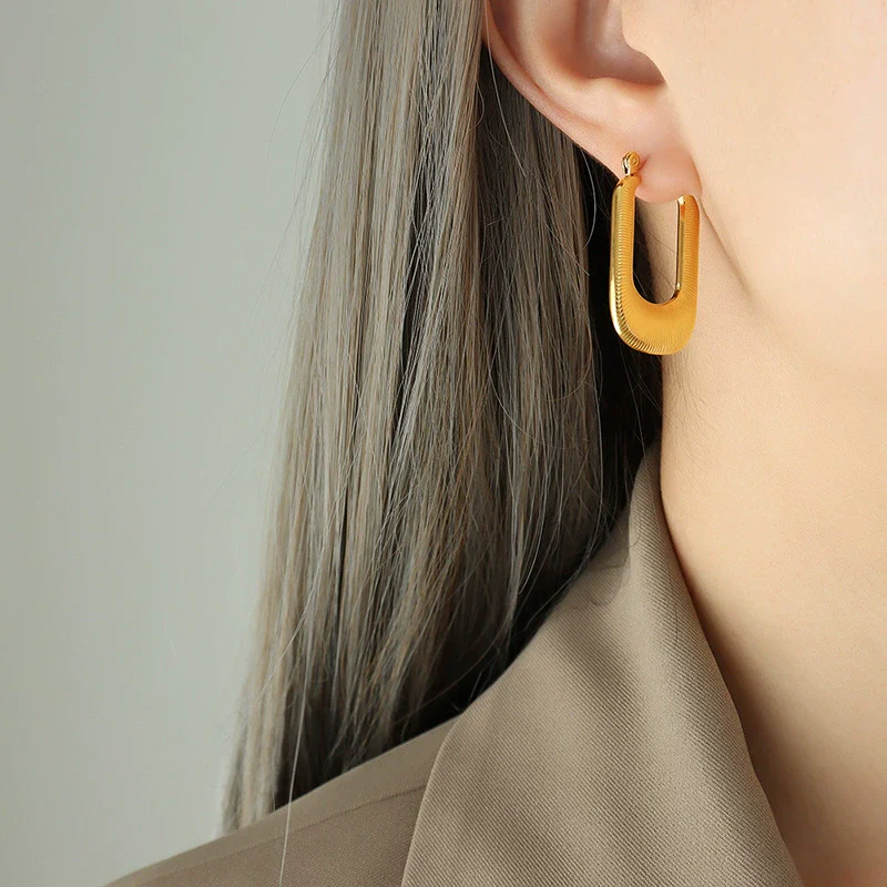 Wholesale Titanium Steel Geometric Rectangular Electroplated Women's Earrings - Image 6