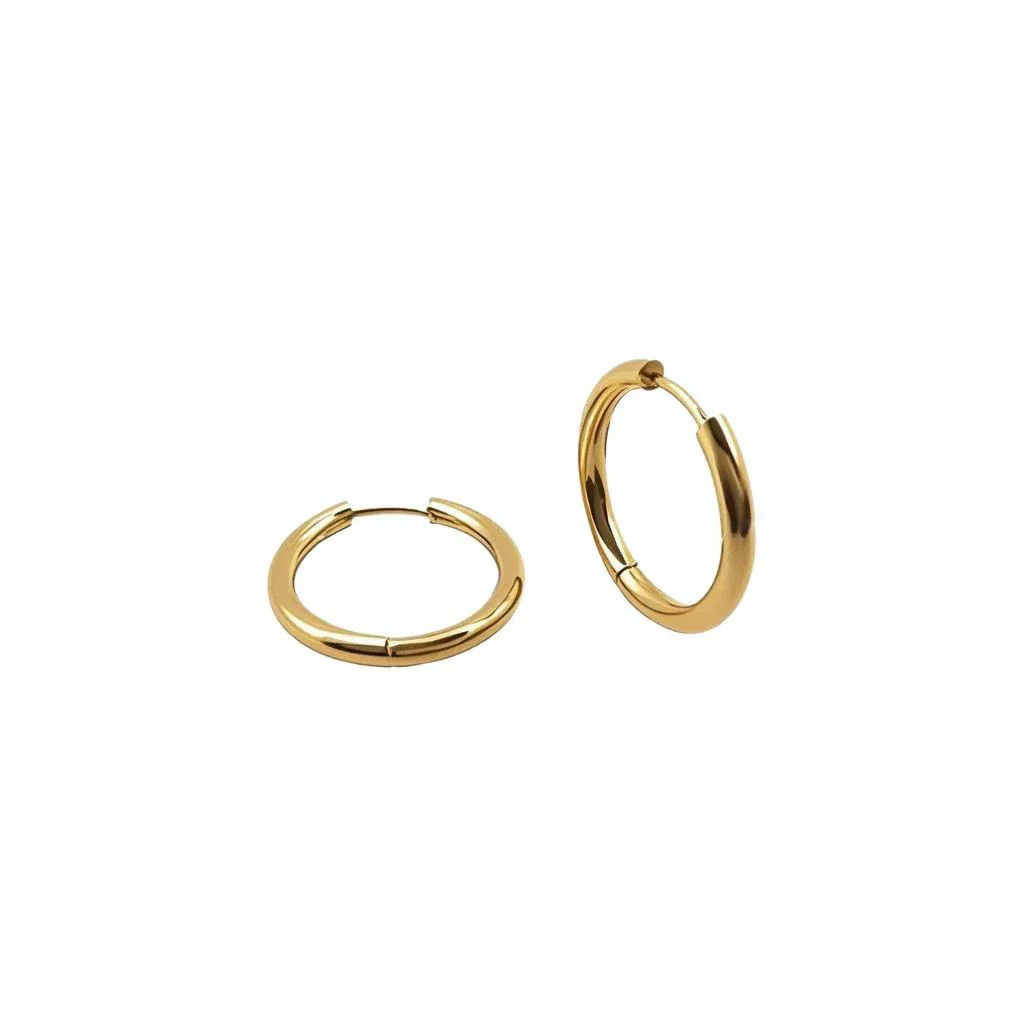 Wholesale Titanium Steel Geometric Style Women's Classic Earrings With Polishing Treatment - Image 5