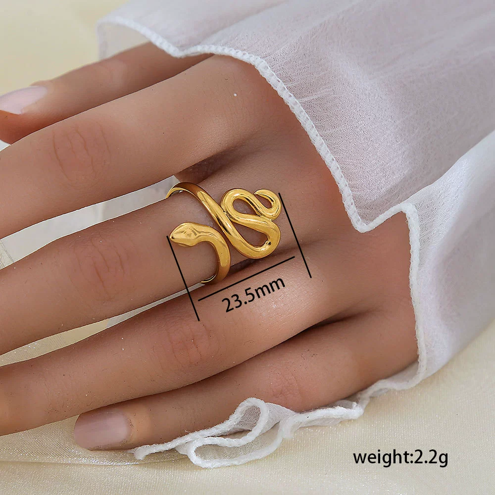Wholesale Unisex Geometric Titanium Steel Electroplated Ring - Image 62