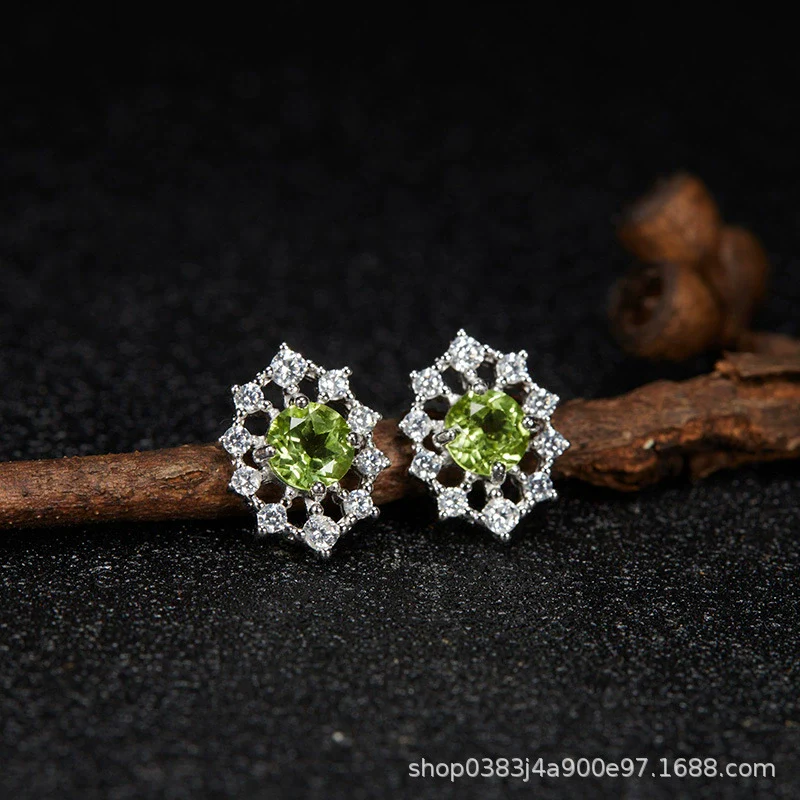 Wholesale Women's Cool Style Geometric S925 Sterling Silver 18K Gold Plated Gem Set Earrings - Image 30