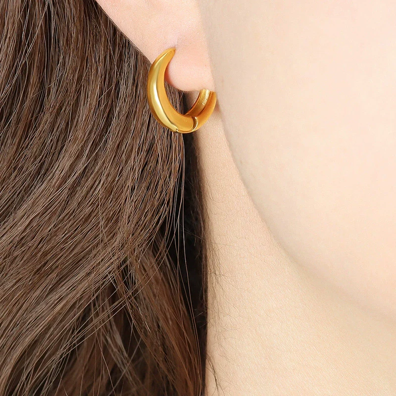 Wholesale Women's Electroplated Titanium Steel Minimalist Round Elegant Geometric Earrings With Ear Buckle - Image 6