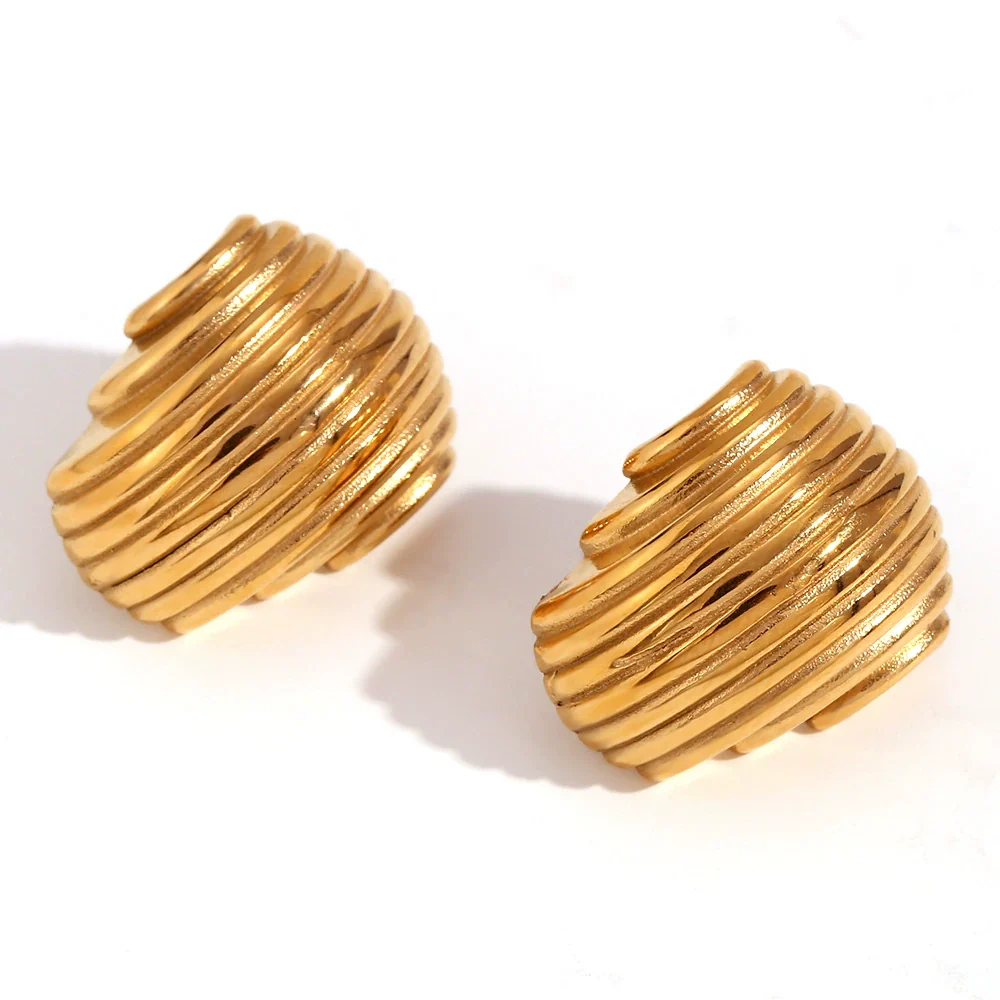 Wholesale Women's Fashion Geometric Stainless Steel Electroplated Earrings - Image 5