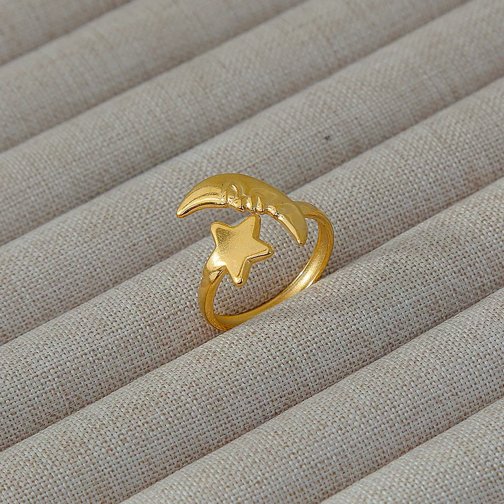 Wholesale Women's Geometric Stainless Steel Titanium Steel Ring With Geometric Plants And Flowers Pattern 18K Gold Electroplated Ins Style - Image 11