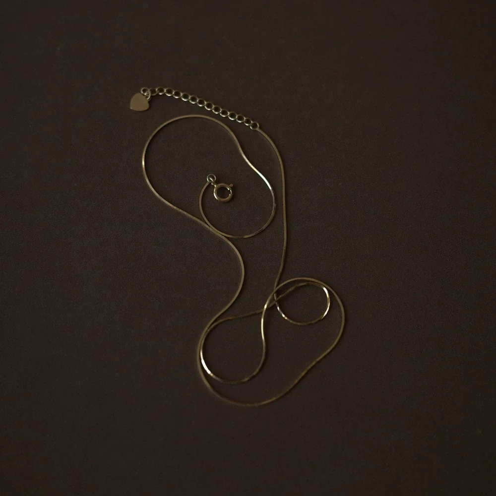 Wholesale Women's S925 Sterling Silver Snake Bone Chain 18K Gold Plated Animal Zodiac Pattern Polished Necklace - Image 2