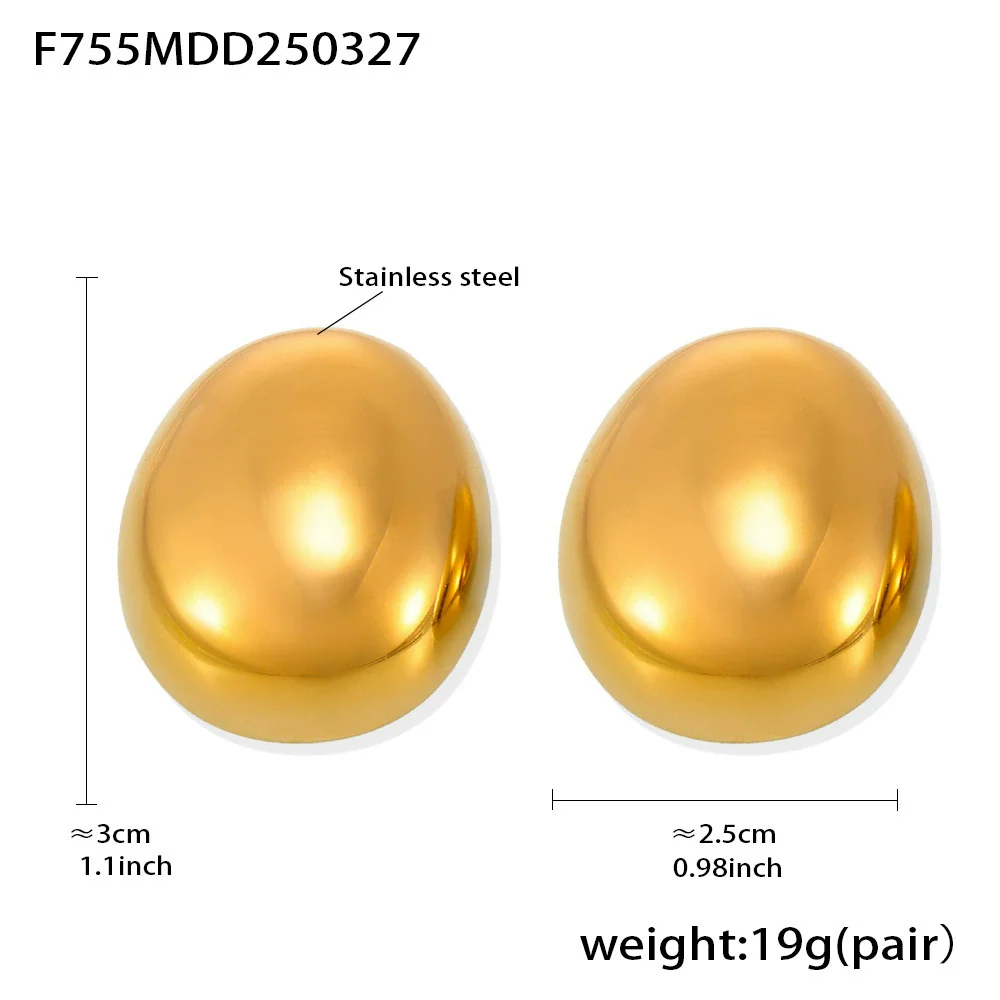 Wholesale Women's Stainless Steel Geometric Oval Frosted Brushed Light Luxury Style Electroplated Earrings - Image 5