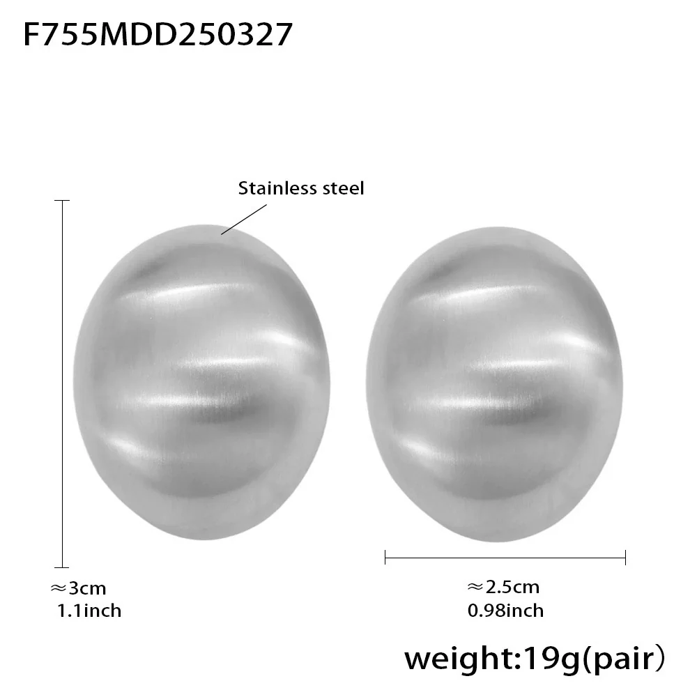 Wholesale Women's Stainless Steel Geometric Oval Frosted Brushed Light Luxury Style Electroplated Earrings - Image 8