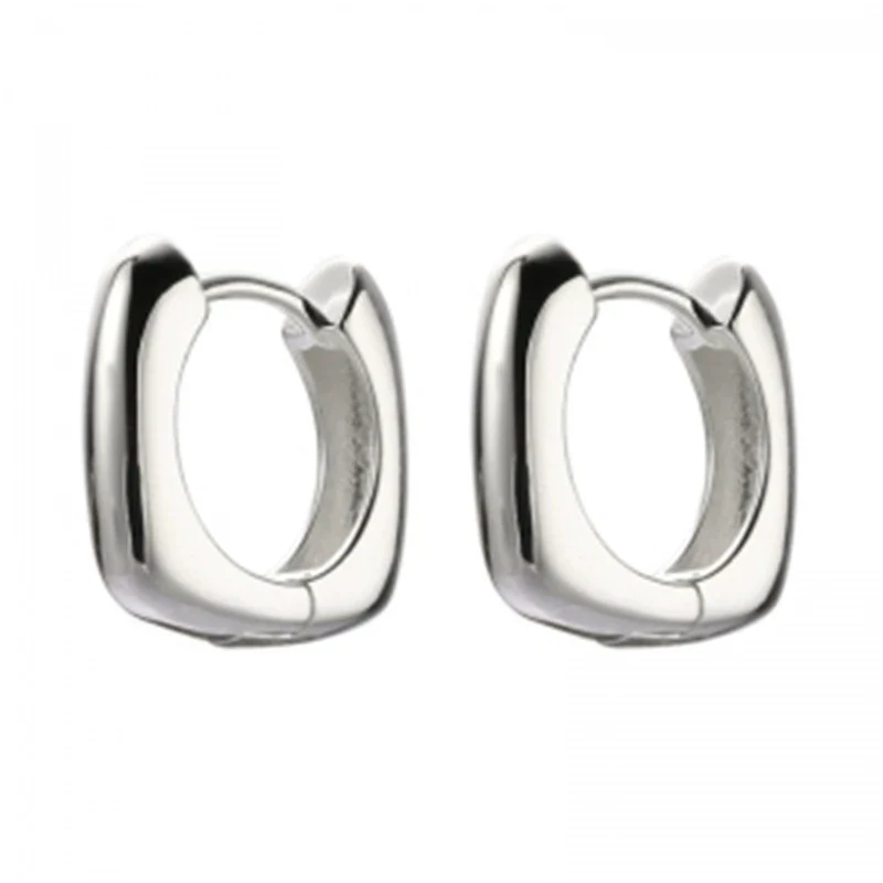 Wholesale Zinc Alloy Geometric Light Luxury Style Electroplated Women's Earrings - Image 5