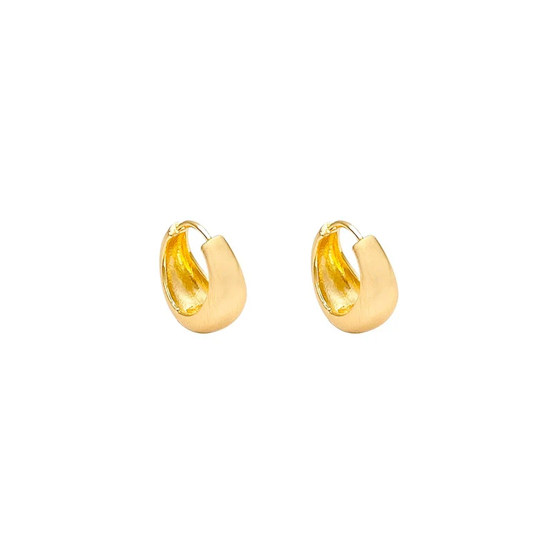 Women's Alloy Copper Geometric Oval Hoop Earrings Matte Brushed Electroplating Design - Image 5