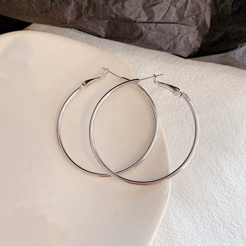 Women's Metal Hoop Earrings 925 Silver Needle Geometric Style Electroplated - Image 13