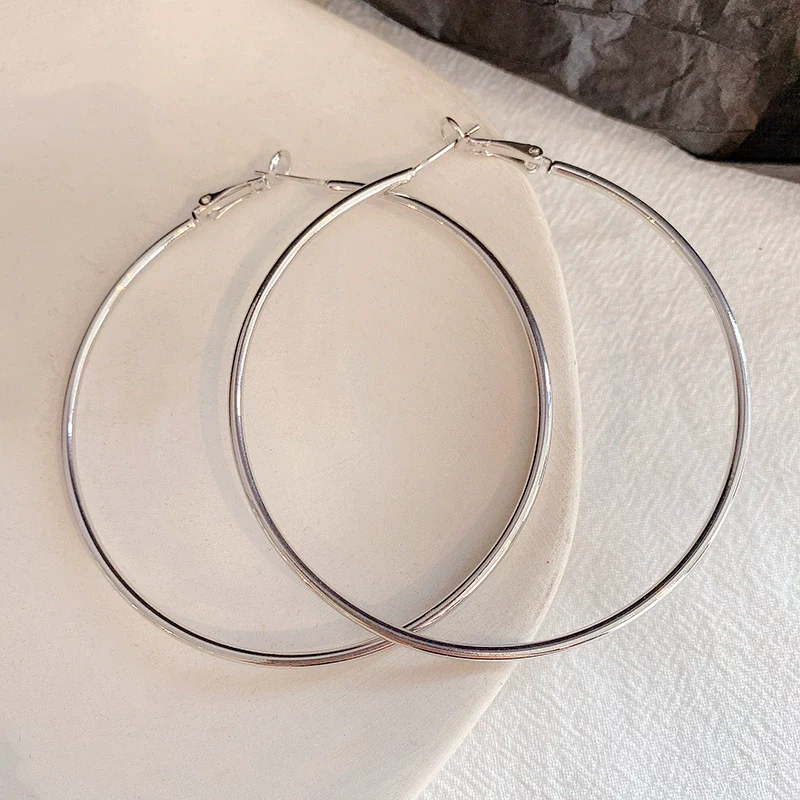 Women's Metal Hoop Earrings 925 Silver Needle Geometric Style Electroplated - Image 15