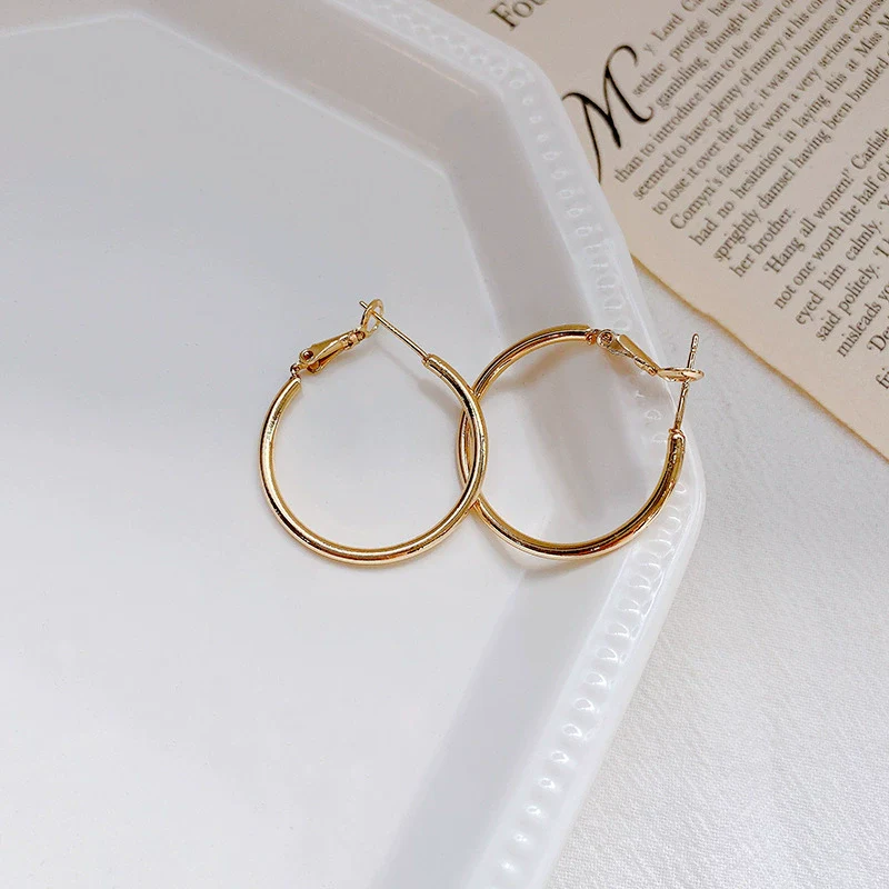 Women's Metal Hoop Earrings 925 Silver Needle Geometric Style Electroplated - Image 6