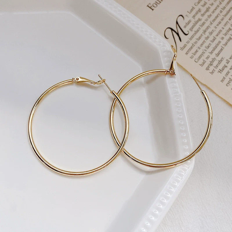 Women's Metal Hoop Earrings 925 Silver Needle Geometric Style Electroplated - Image 8