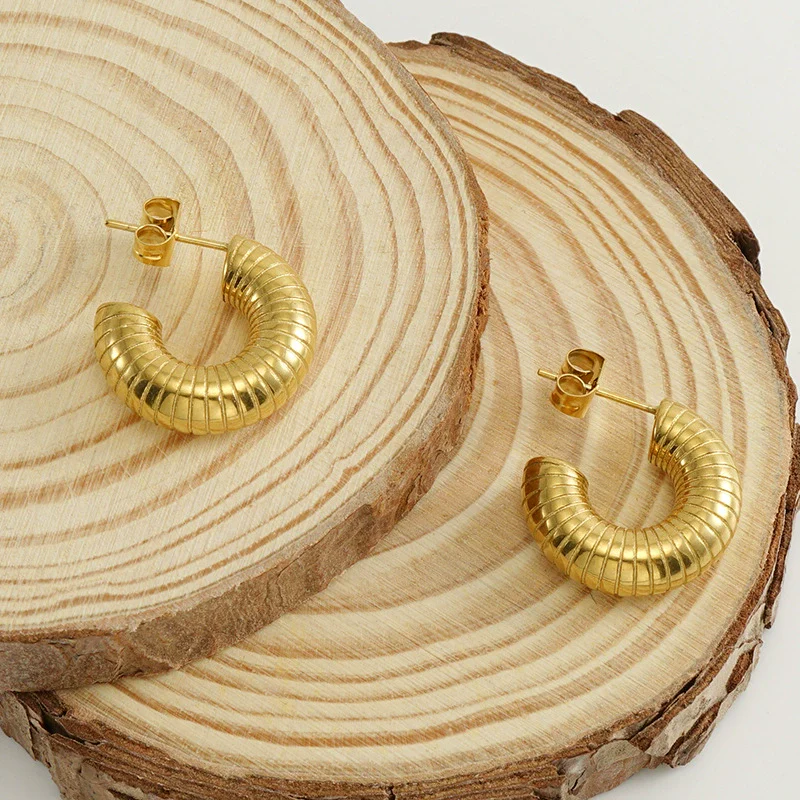 Women's 316L Stainless Steel Geometric U Shaped Electroplated Threaded Solid Earrings - Image 4